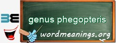 WordMeaning blackboard for genus phegopteris